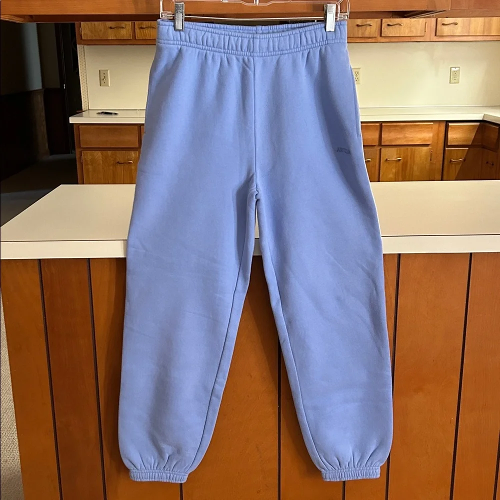Aritzia Cozy Fleece Mega Sweatpants Dayflower Blue XS Oversized High Rise II